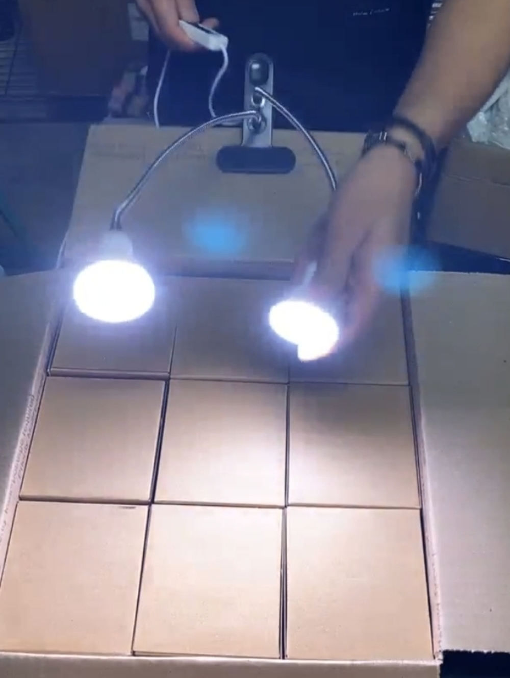 Grow Light 14 Watt Set Of 9